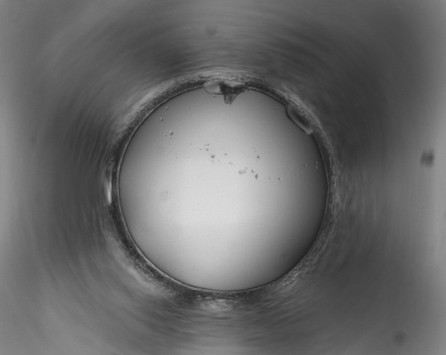 X0000115770062200911271150