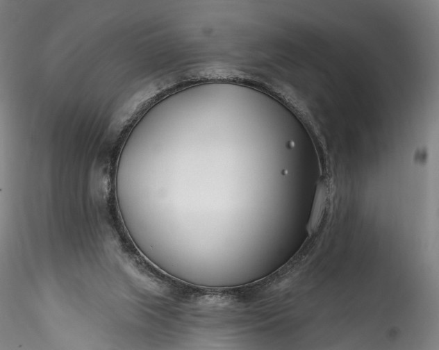 X0000115770063200911271150