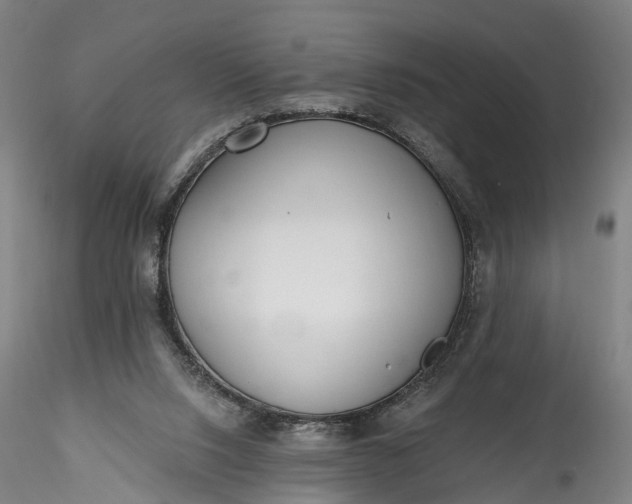 X0000115770064200911271150