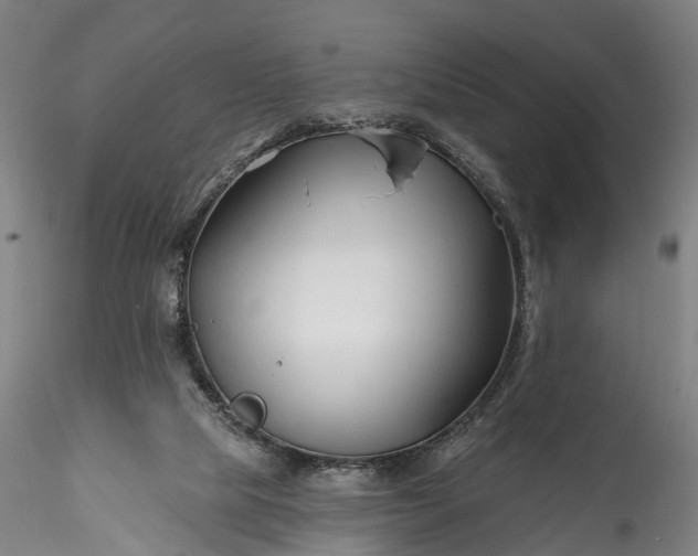 X0000115770065200911271150