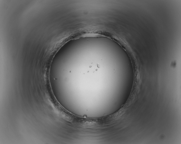 X0000115770066200911271150