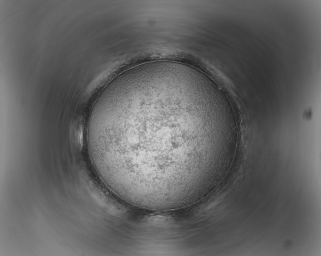 X0000115770067200911271150