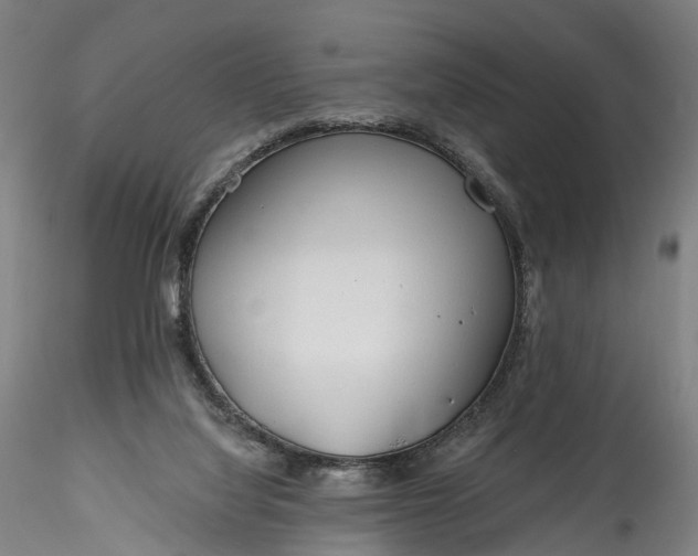 X0000115770068200911271150