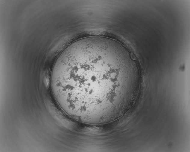 X0000115770069200911271150