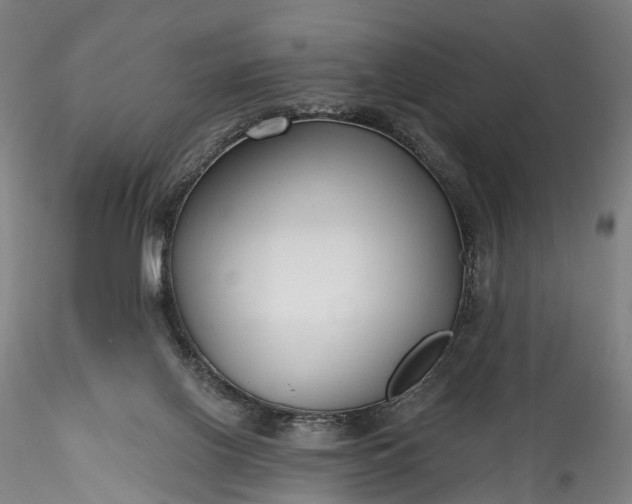 X0000115770070200911271150