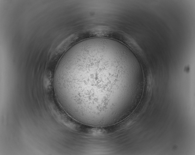 X0000115770073200911271150