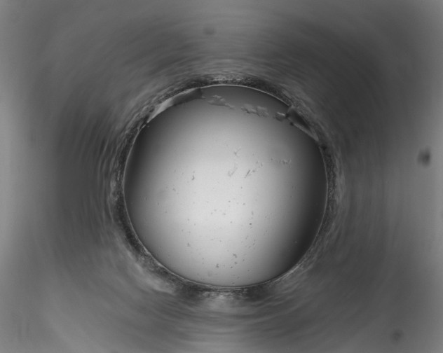 X0000115770074200911271150