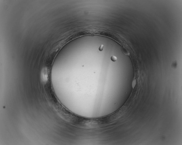 X0000115770075200911271150