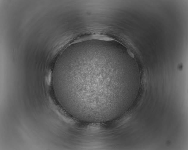 X0000115770076200911271150