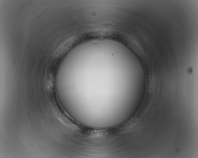 X0000115770077200911271150