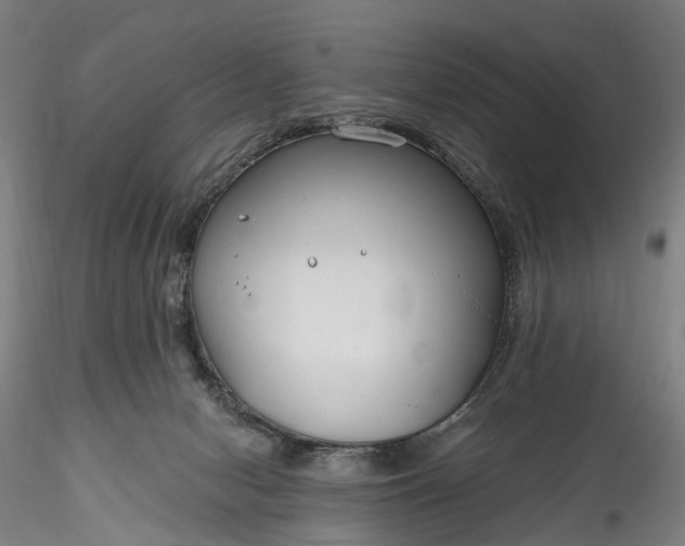 X0000115770078200911271150