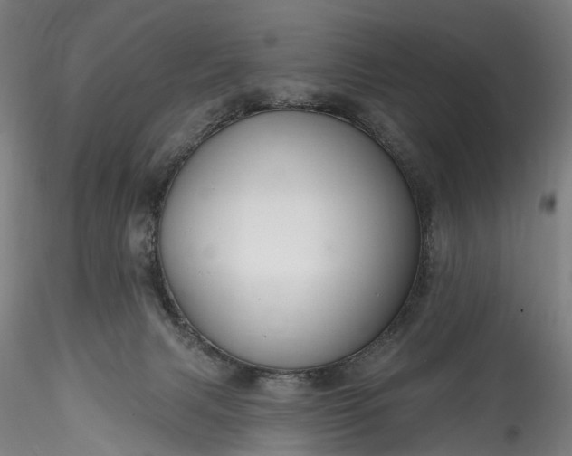 X0000115770079200911271150