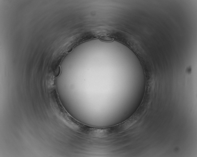 X0000115770081200911271150