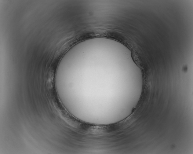 X0000115770082200911271150