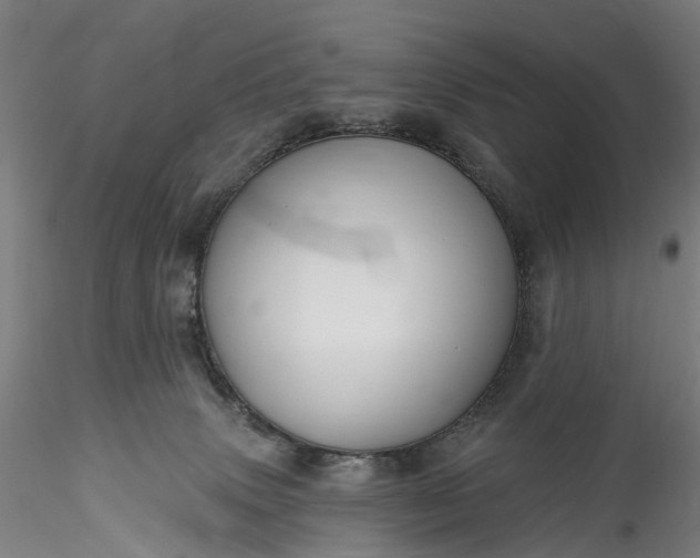 X0000115770083200911271150