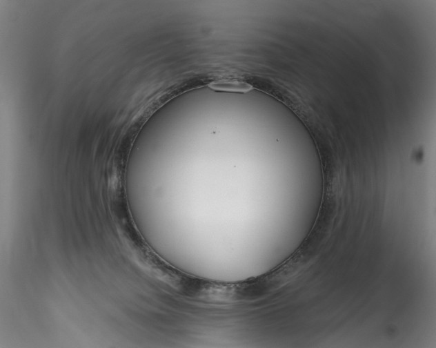 X0000115770084200911271150