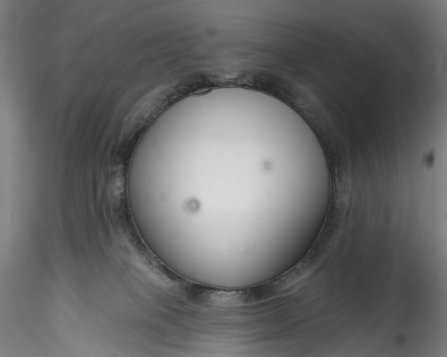 X0000115770085200911271150