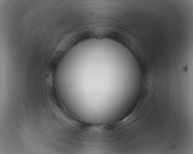 X0000115770086200911271150