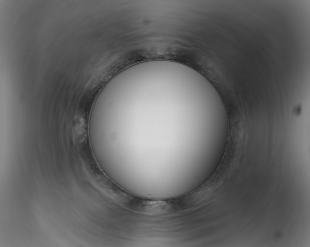 X0000115770087200911271150