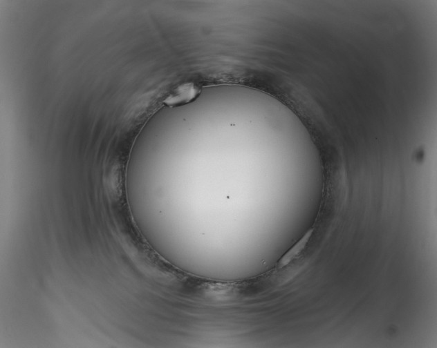 X0000115770088200911271150