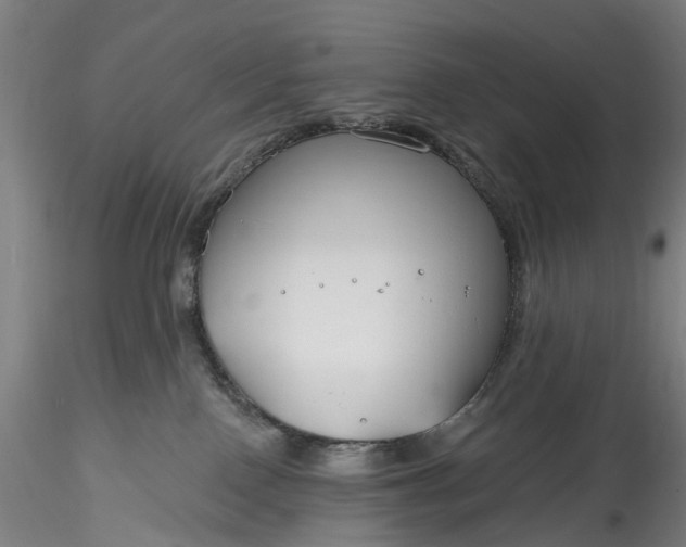 X0000115770090200911271150