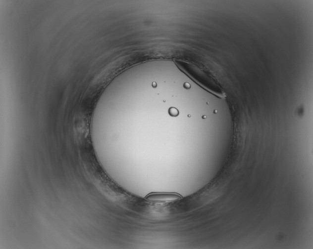 X0000115770091200911271150