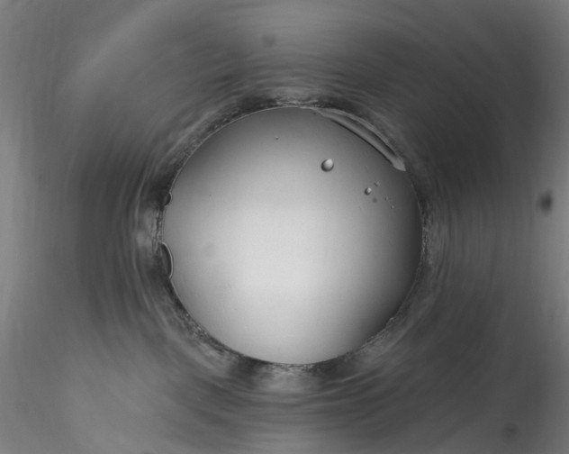 X0000115770093200911271150