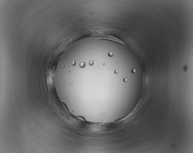 X0000115770094200911271150