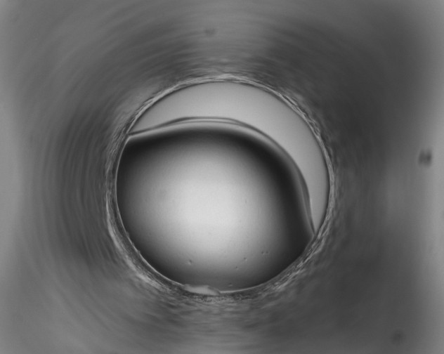 X0000115770097200911271150