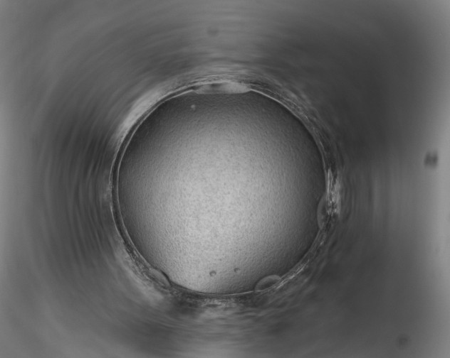 X0000115770099200911271150