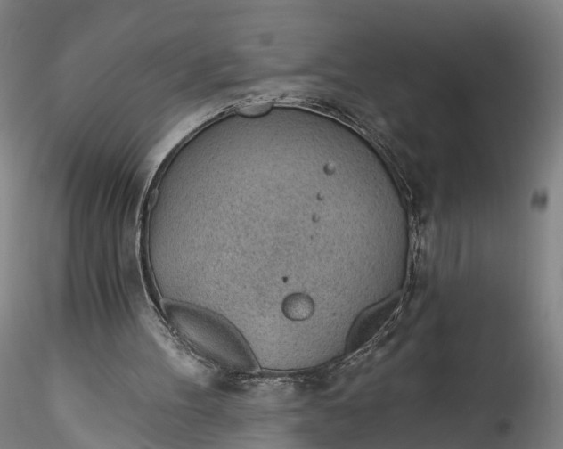 X0000115770100200911271150