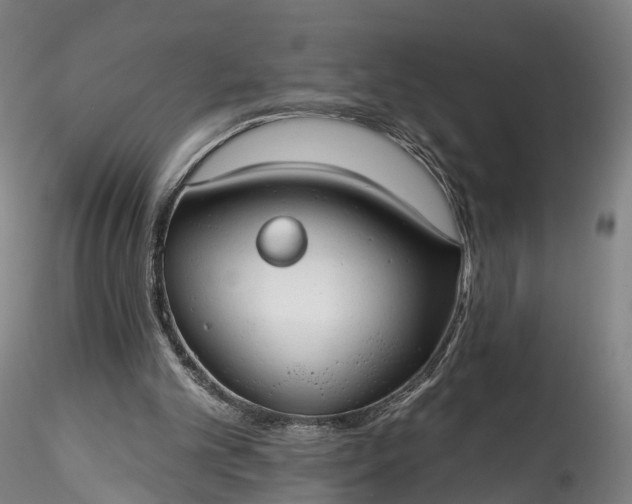 X0000115770101200911271150