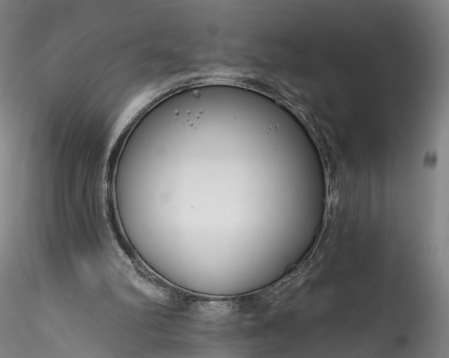 X0000115770102200911271150