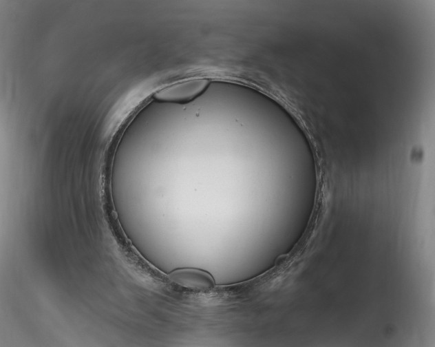 X0000115770103200911271150