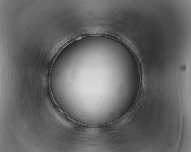 X0000115770105200911271150