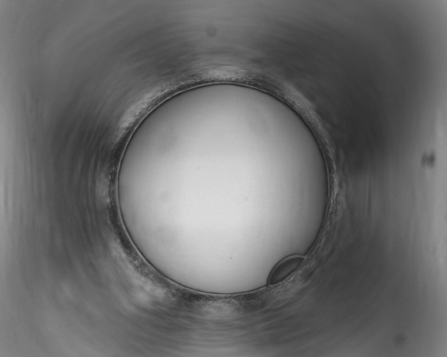 X0000115770106200911271150