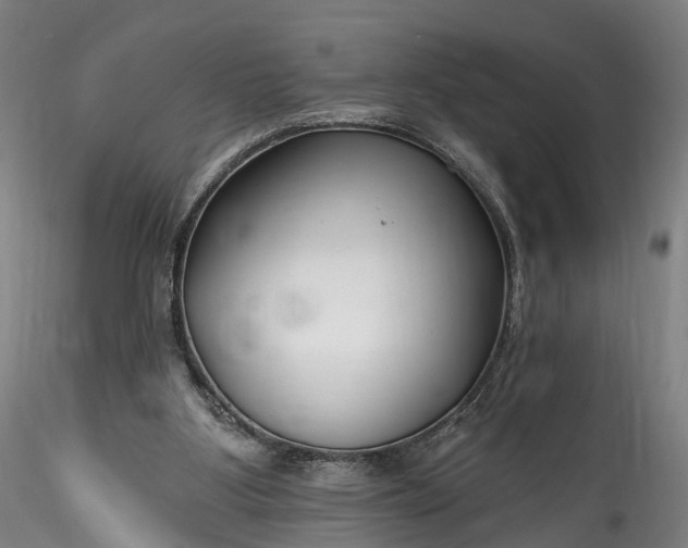 X0000115770107200911271150