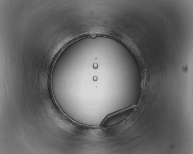 X0000115770108200911271150