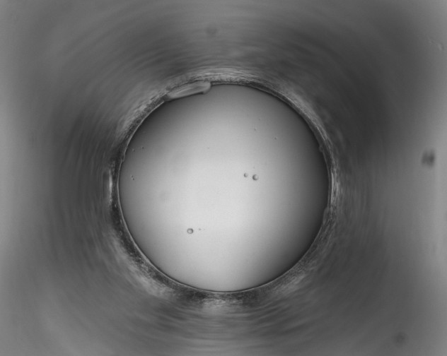 X0000115770109200911271150