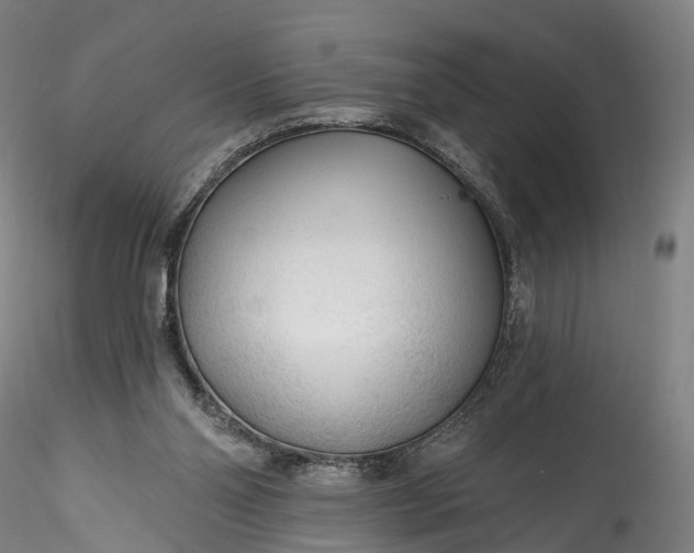 X0000115770110200911271150