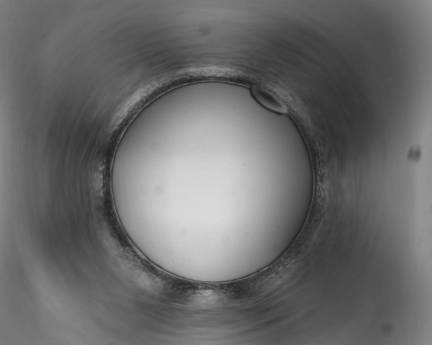 X0000115770111200911271150