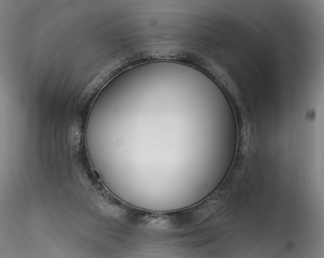 X0000115770113200911271150