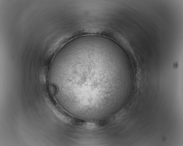 X0000115770114200911271150