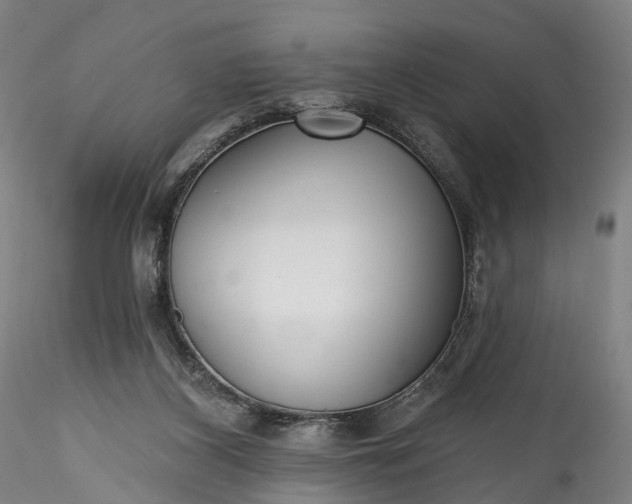 X0000115770116200911271150