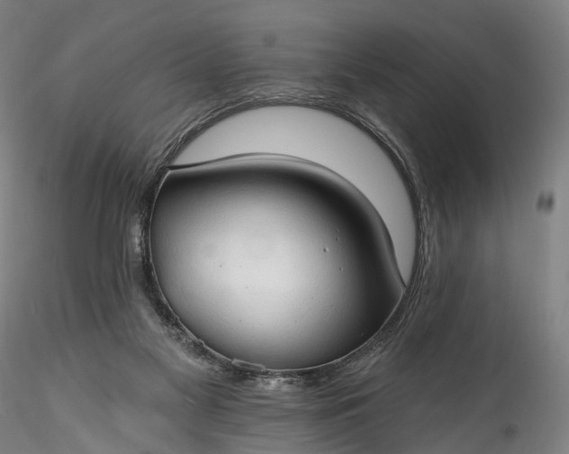 X0000115770117200911271150