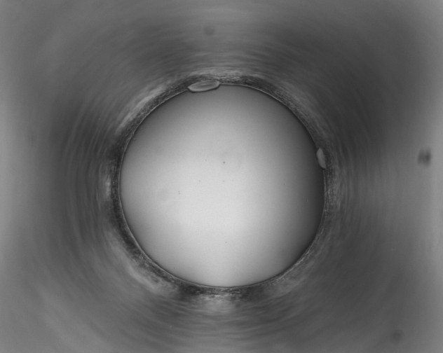 X0000115770120200911271150