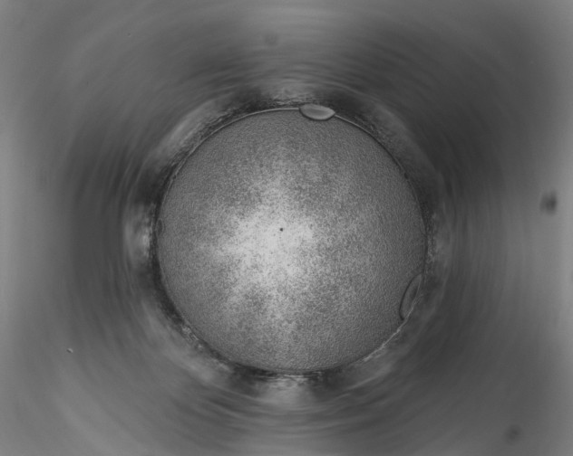 X0000115770124200911271149