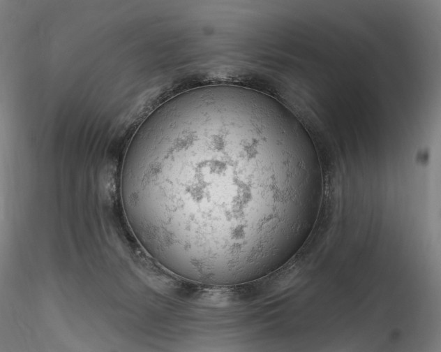 X0000115770127200911271149