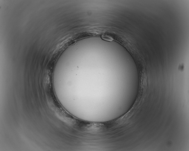 X0000115770128200911271149