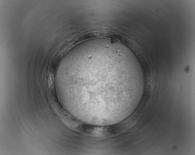 X0000115770130200911271149